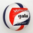 Volejbalové míče Gala Junior BV 5093 S