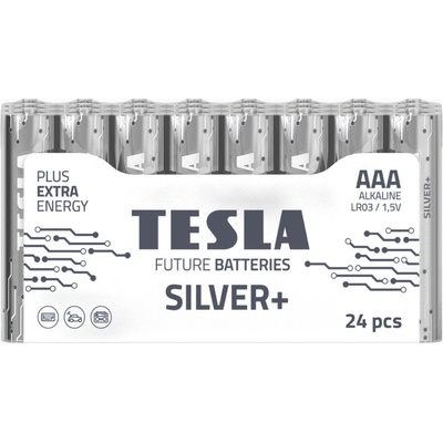 TESLA SILVER+ AAA 10ks 1099137215