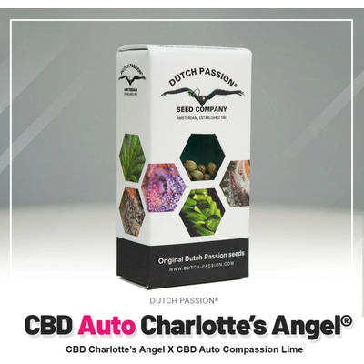 Dutch Passion CBD AUTO Charlotte's Angel semena neobsahují THC 3 ks