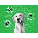 Frontline Combo Spot-On Dog M 10-20 kg 1 x 1,34 ml