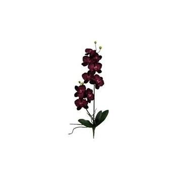 Orchidej 70cm x2 fialová (bez květináče) - Gasper