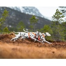 Non-stop Dogwear Postroj Line 5.0