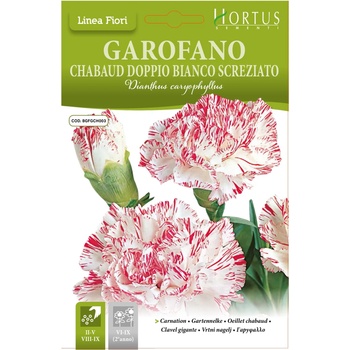 Hortus Карамфил Шабо бяло с червен край Chabaud Doppio Bianco Screziato