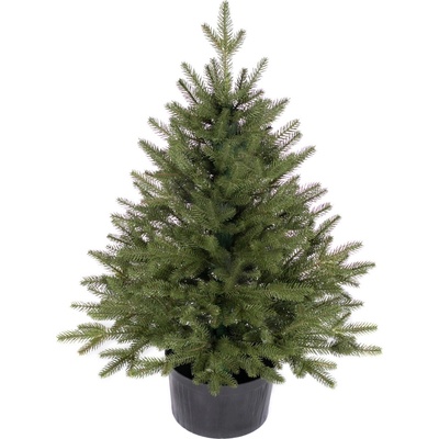 ROY Choinki Smrek Rím 100 % PE v kvetináči 80 cm