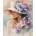 Norimpex - Puzzle Diamant painting: Woman with flowers 30x40cm - 1 - 39 piese