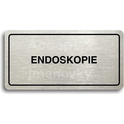 ACCEPT Piktogram ENDOSKOPIE - stříbrná tabulka - černý tisk
