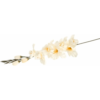 Kytice gladiol 371431-26