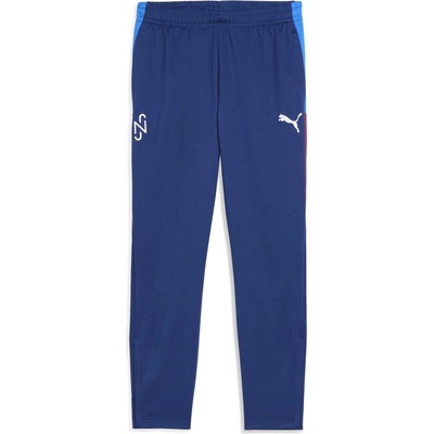 PUMA Neymar jr playmaker training pant m