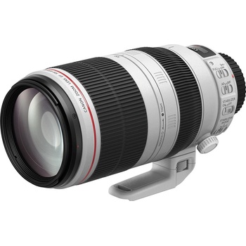 Canon 100-400mm f/4.5-5.6L IS II USM