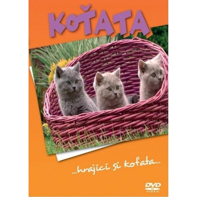 Koťata DVD