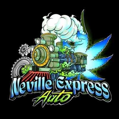 Sumo Seeds Neville Express Auto semienka neobsahujú THC 3 ks