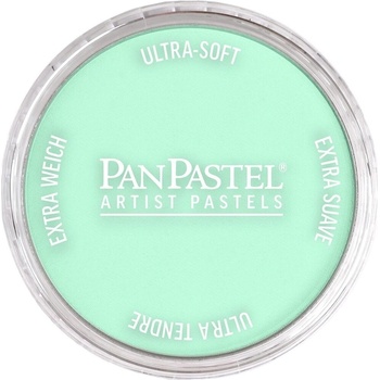 PanPastel Artists’ Сух пастел 956.5 Pearlescent Green 1 бр (8029565-1)