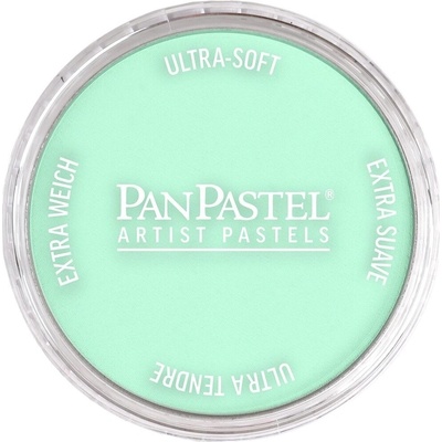 PanPastel Artists’ Сух пастел 956.5 Pearlescent Green 1 бр (8029565-1)