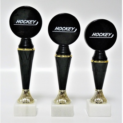 VIZINGR Hokej trofeje 37-P508-MULTI 37-P508-MULTI/27 cm