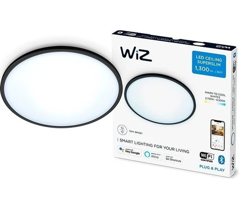 WiZ WI0041