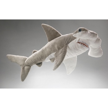 žralok kladivoun 50 cm