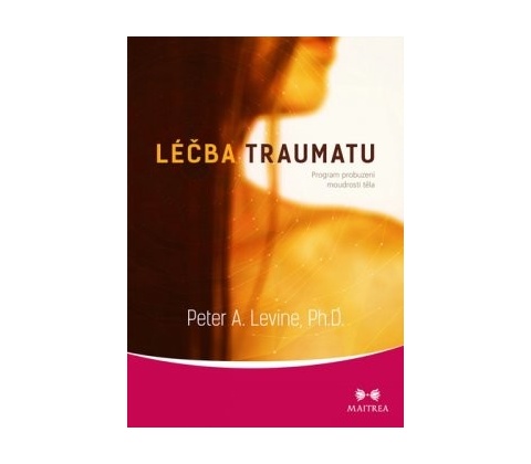 Léčba traumatu