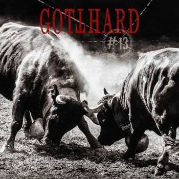 Gotthard - 13 CD