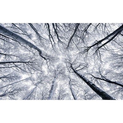 Komar Vliesová fototapeta Up rozměry 400 x 250 cm
