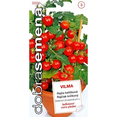 RAJČIAK kríčkový balkónový Vilma