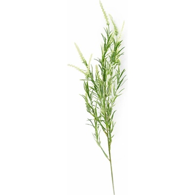 Přízdobová tráva Šalvěj zeleno-bílá (imitace Salvia) – výška 60 cm