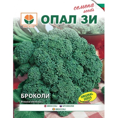 Opal Zi Броколи Калабрезе