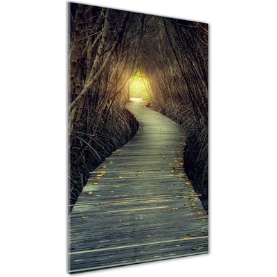 Vertikálny fotoobraz na skle Chodník v lese 50x100 cm