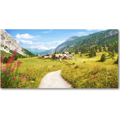 Foto obraz sklenený horizontálny Pasienok v Alpách 100x50 cm