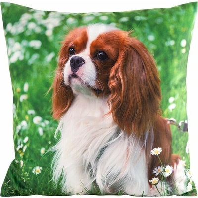 Takoy Velúrová ANIMAL zdobená potlačou psa-HF-464115 45 x 45 cm