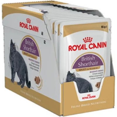 Royal Canin FHN British Shorthair 12x85 g