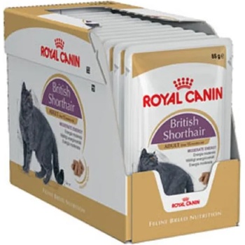 Royal Canin FHN British Shorthair 12x85 g