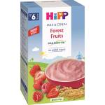 Hipp Инстантна млечна каша с пребиотик Hipp - Горски плодове, 250 g (3221) - ozone