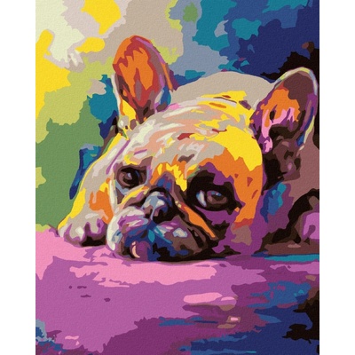 Zuty Ležící buldoček 80 x 100 cm vypnuté plátno na rám 8596530053958
