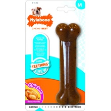 Nylabone Puppybone M
