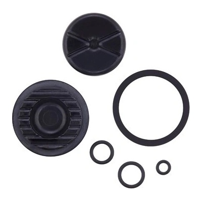 Sram CALIPER PISTON KIT 2 PISTON 21 mmLVL TL/T