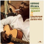 Muddy Waters - At Newport (Limited Edition) (180 g) (LP) (8436563184611)