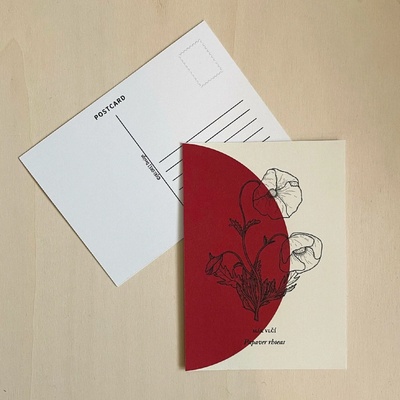 Herbarium – pohlednice Motiv: Vlčí mák