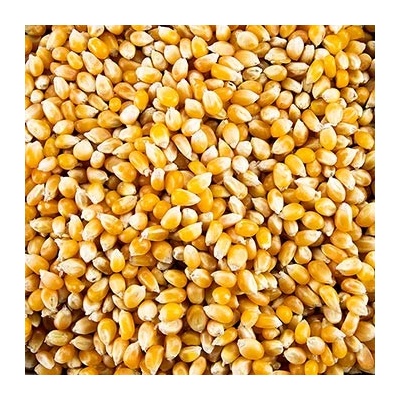 Bos Food GmbH Pop-Corn kukuřice 1 kg