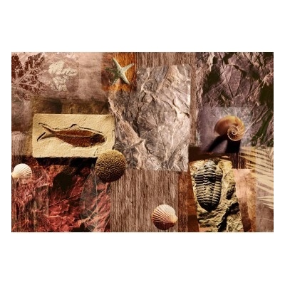 Preinterier Fototapeta - FT0141 - Mozaika skamenelin vlies - 104cm x 70cm
