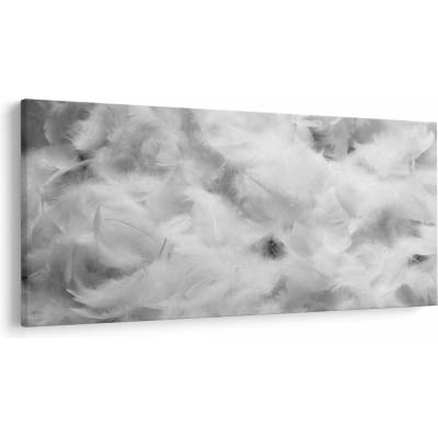 Obraz - Oblaky perie, jednodielne 250x125 cm