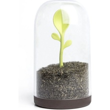 Qualy Design Dóza se lžičkou Sprout Jar 10205BN