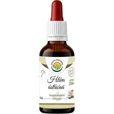 Salvia Paradise Hlíva ústřičná AF tinktura 50 ml