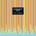 BASEMENT JAXX: SINGLES LP
