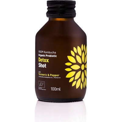 Vigo BIO kombucha Shot Detox 100 ml