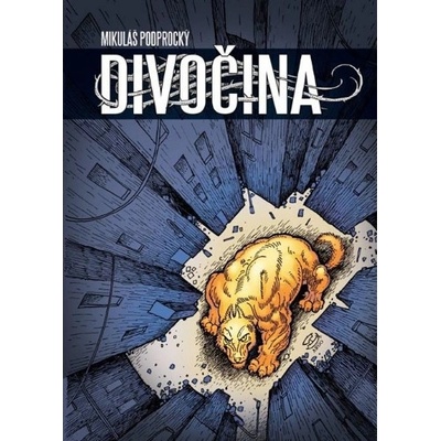 Divočina