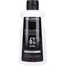 Goldwell System Developer 20 Vol. 6% 1000 ml