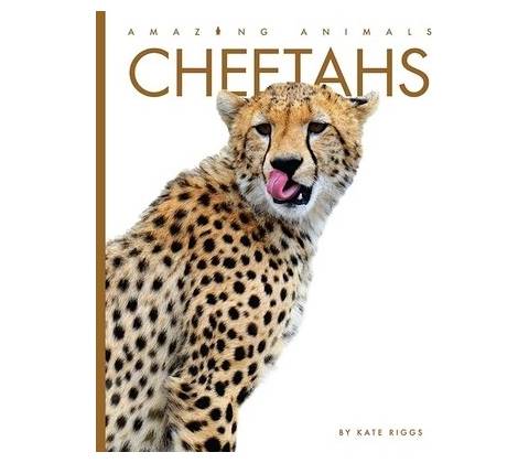Cheetahs Riggs Kate
