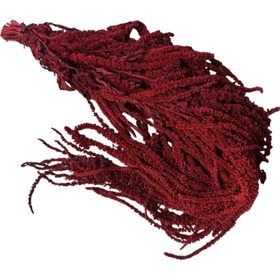 Sušené stabilizované kvety Amaranthus Caudatus - Šarlát visiaci 400g - tmavý červený