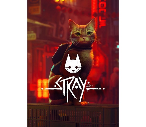 Stray