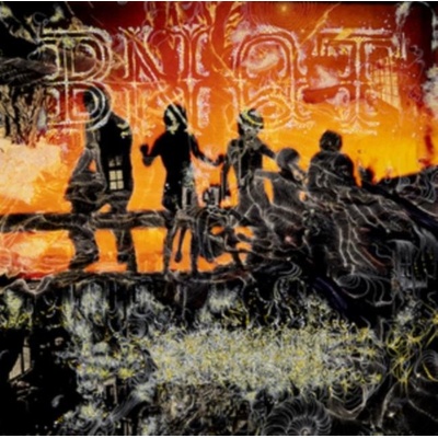 BNQT - VOLUME 1 LTD. LP
